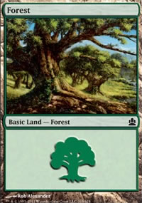 Forest 1 - MTG Commander