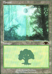 Forest - GURU Lands