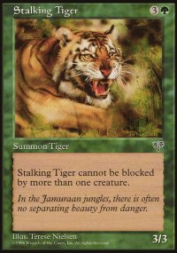 Stalking Tiger - Mirage