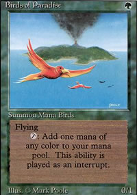 Birds of Paradise - Revised Edition