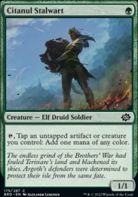 Citanul Stalwart - The Brothers War