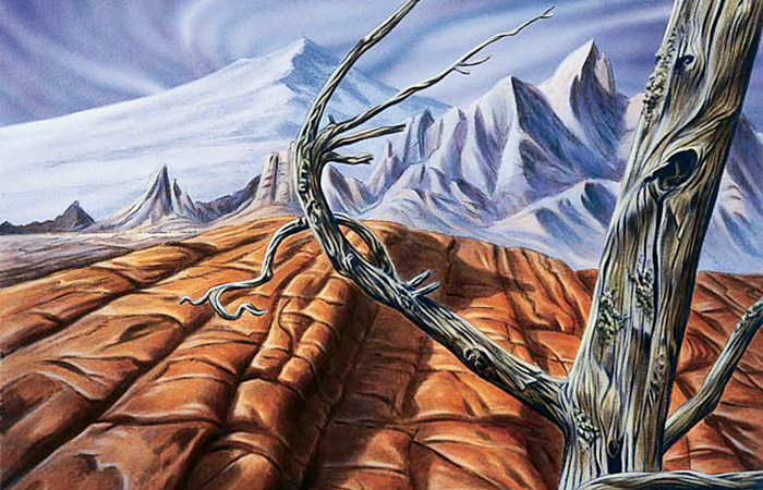 Is Legacy a Wasteland?