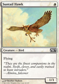 Suntail Hawk - Magic 2014