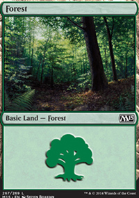 Forest 2 - Magic 2015