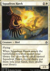 Squadron Hawk - Masters 25