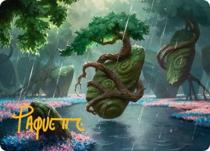 Rain-Slicked Copse - Art 2 - Lorwyn Eclipsed - Art Series