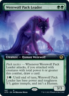 Werewolf Pack Leader 2 - Dungeons & Dragons: Adventures in the Forgotten Realms