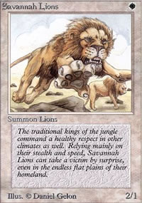 Savannah Lions - Limited (Alpha)