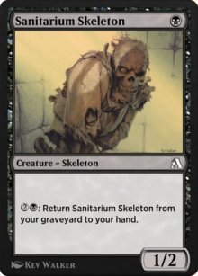 Sanitarium Skeleton - Arena Beginner Set