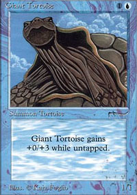 Giant Tortoise - Arabian Nights