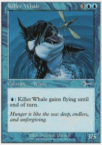 Killer Whale - Beatdown