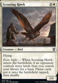 Scouting Hawk - 