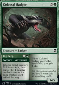Colossal Badger - 
