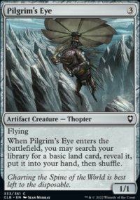 Pilgrim's Eye - 