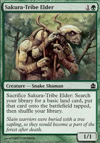 Sakura-Tribe Elder - MTG Commander