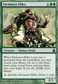 Yavimaya Elder - MTG Commander