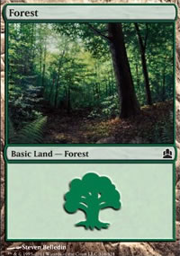 Forest 2 - MTG Commander