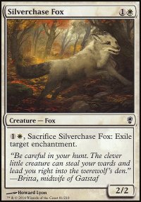 Silverchase Fox - Conspiracy