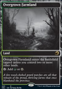 Overgrown Farmland - Innistrad: Double Feature