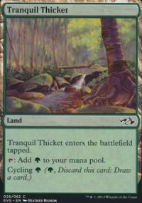 Tranquil Thicket - Duel Decks : Anthology