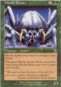Woolly Spider - Deckmasters