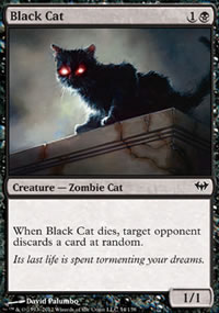 Black Cat - Dark Ascension