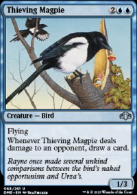 Thieving Magpie - 