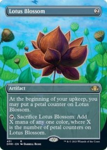 Lotus Blossom - 