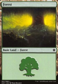 Forest 1 - Game Night