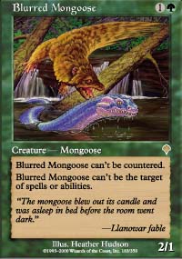 Blurred Mongoose - Invasion