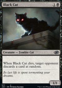 Black Cat - 