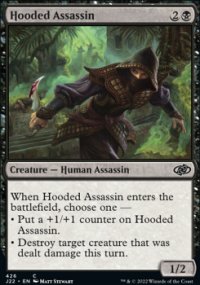 Hooded Assassin - 