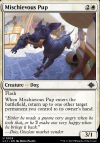 Mischievous Pup - 