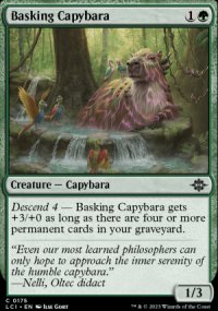 Basking Capybara - 