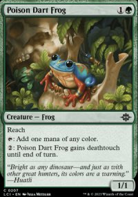 Poison Dart Frog - 