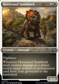 Harnessed Snubhorn - 
