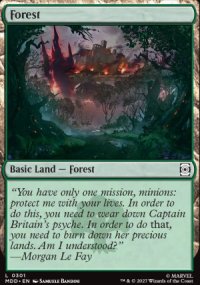 Forest - 
