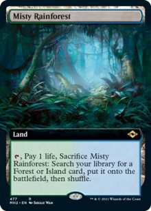 Misty Rainforest - 