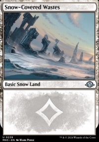 Snow-Covered Wastes 1 - Modern Horizons III