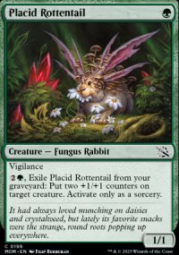 Placid Rottentail - 
