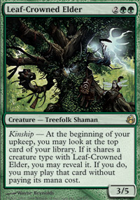 Leaf-Crowned Elder - Morningtide