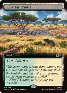 Sungrass Prairie 2 - Marvel Super Heroes Commander Decks