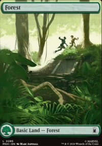Forest - 