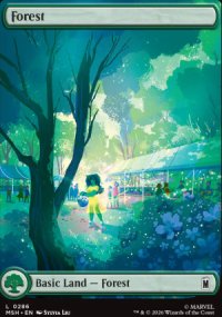 Forest - 