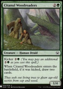 Citanul Woodreaders - Mystery Booster