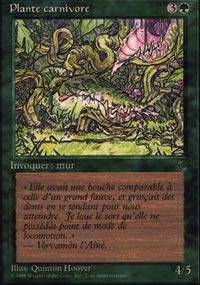 Carnivorous Plant - Renaissance