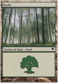 Forest 4 - Salvat / Hachette 2005