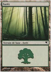 Forest 6 - Salvat / Hachette 2005