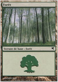 Forest 8 - Salvat / Hachette 2005