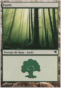 Forest 10 - Salvat / Hachette 2005